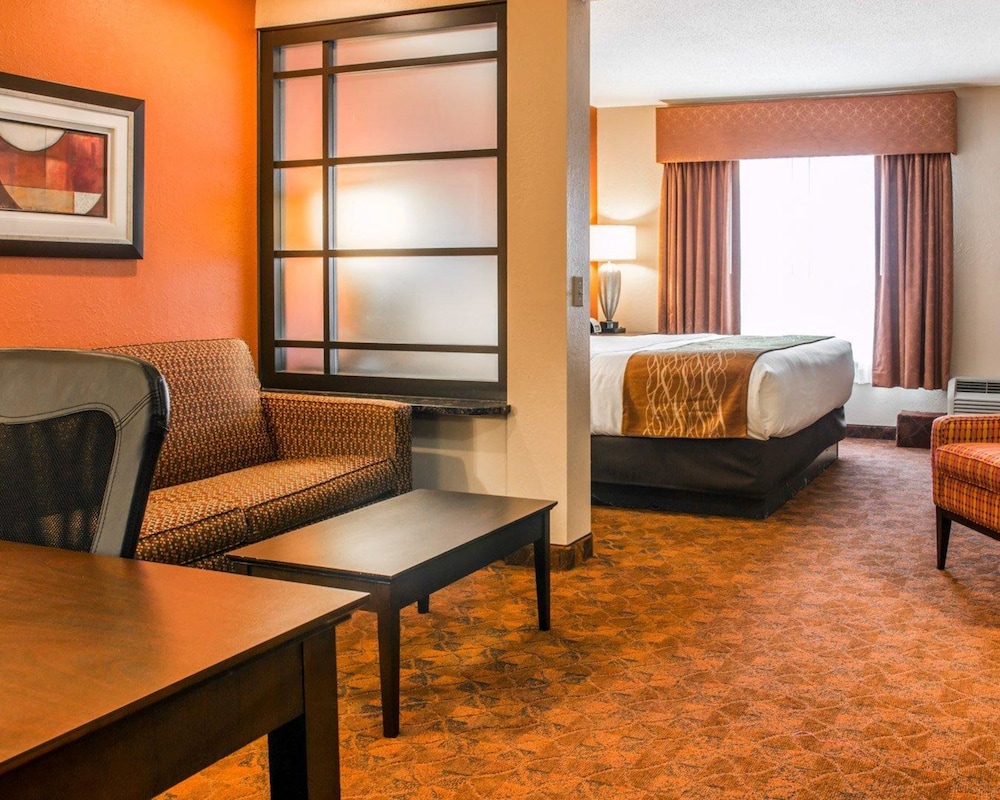 Suite, 1 Bedroom, Non Smoking (1 King and 2 Person Sofa Bed) - Photo 4
