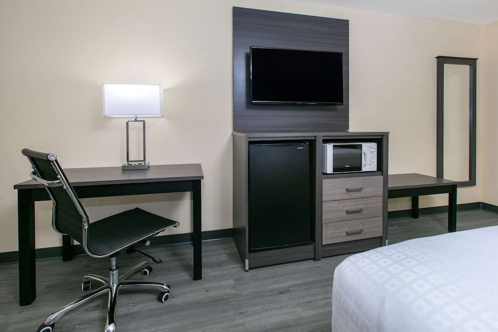 Room, 1 King Bed, Accessible, Non Smoking (Mobility, Roll-In-Shower) - Photo 4