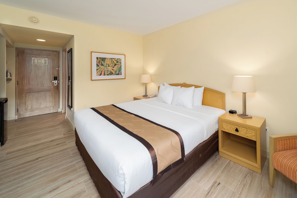 Standard Room, 1 King Bed, Non Smoking - Photo 27