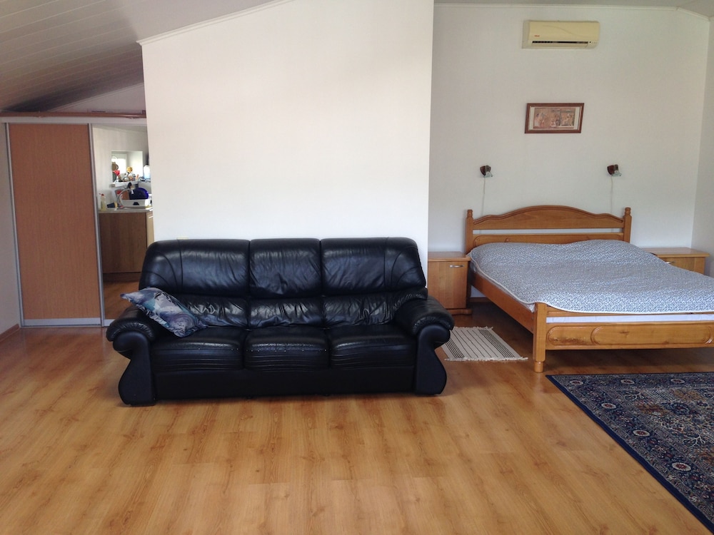 Studio, 1 Queen Bed With Sofa Bed, Mountain View photo 1