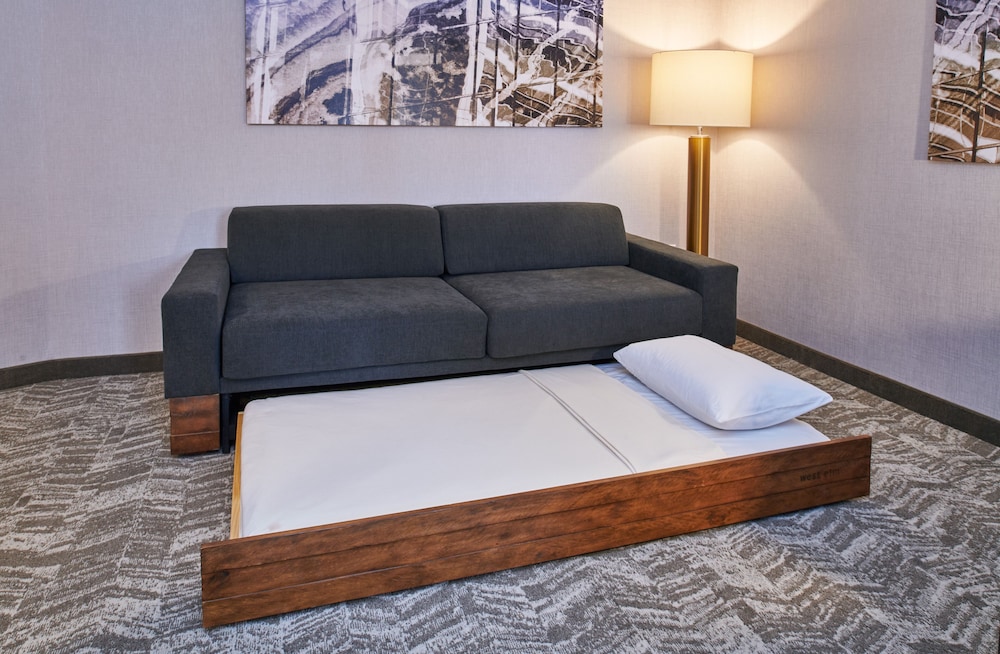 Suite, 1 King Bed (Mobility Accessible, Roll-in Shower) photo 2