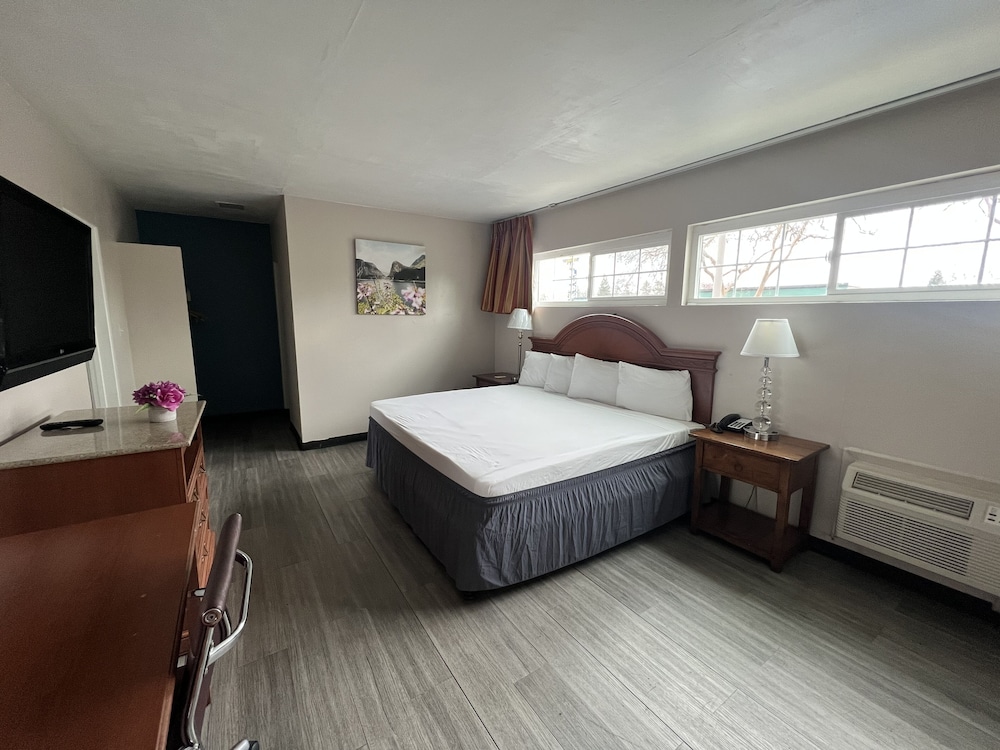 Premium Studio Suite, 1 King Bed photo 1
