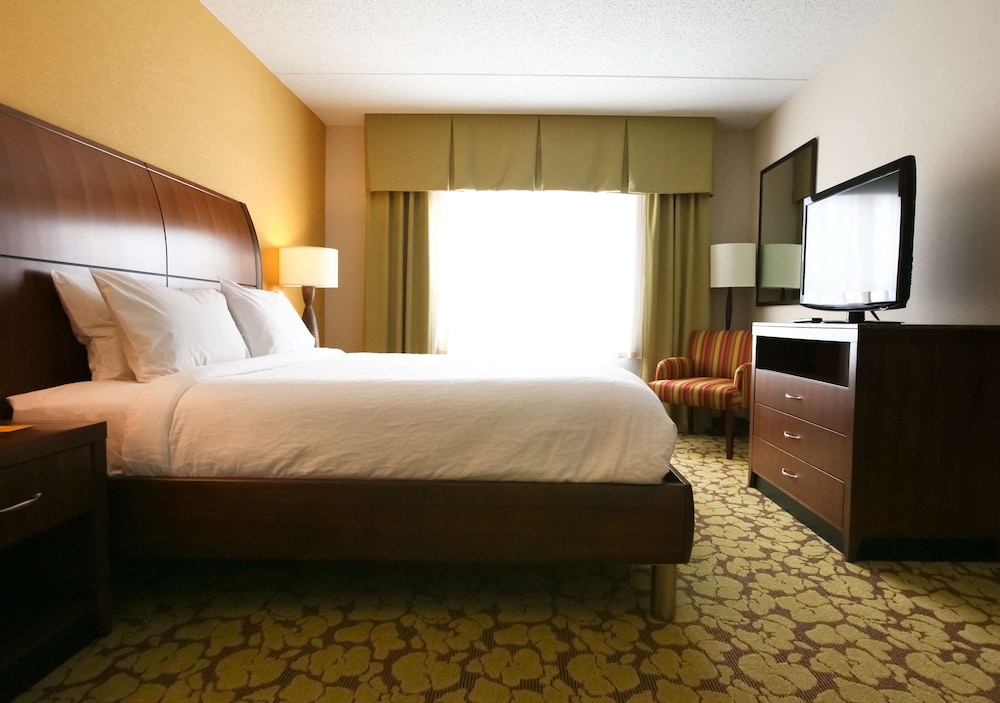 Suite, 1 King Bed photo 2