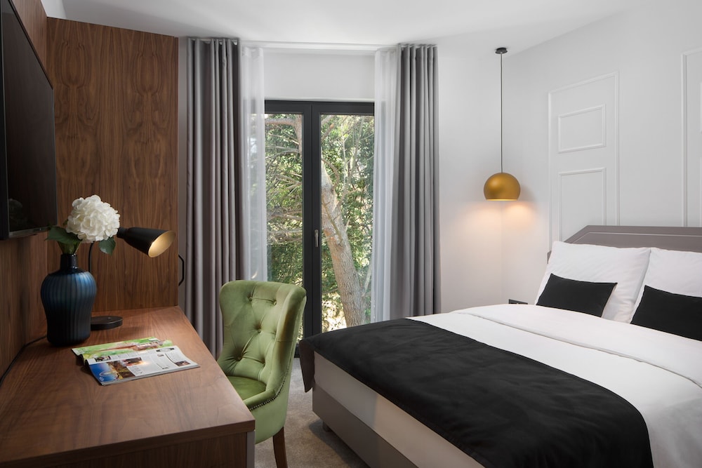 Deluxe Double Room, 1 King Bed photo 3