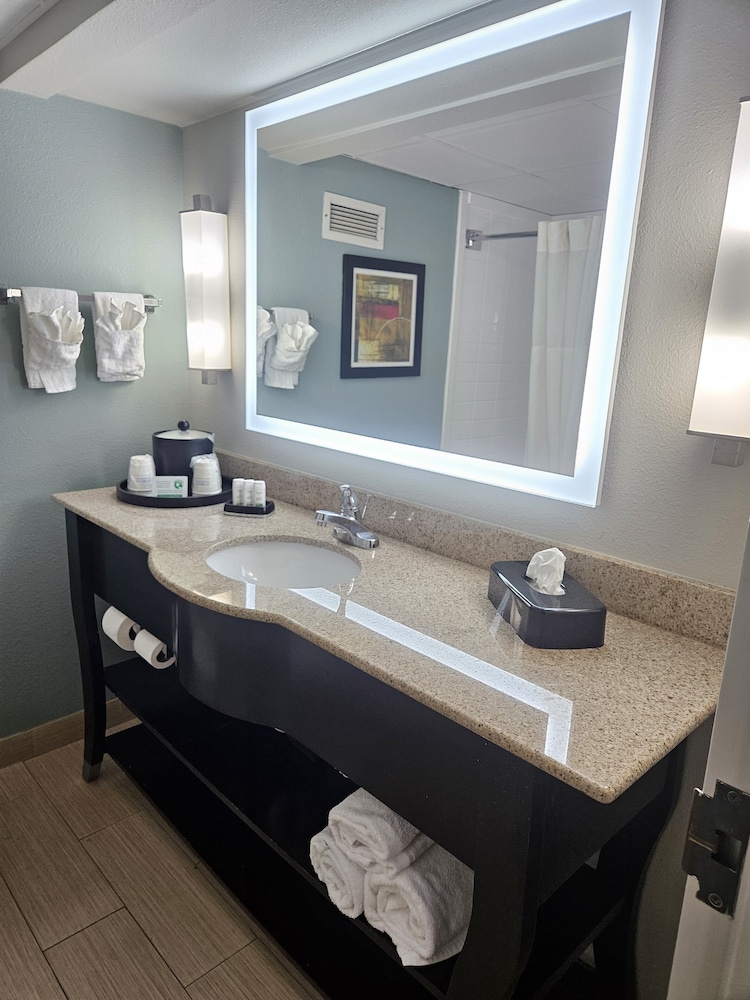 Suite, 1 King Bed, Non Smoking - Photo 4