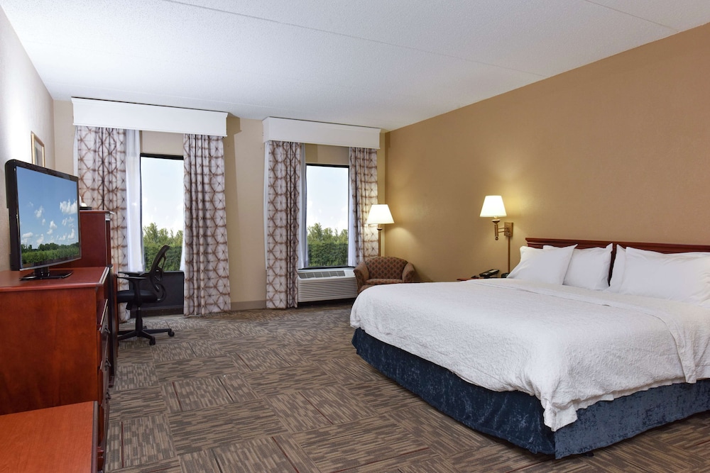 Room, 1 King Bed, Accessible, Non Smoking