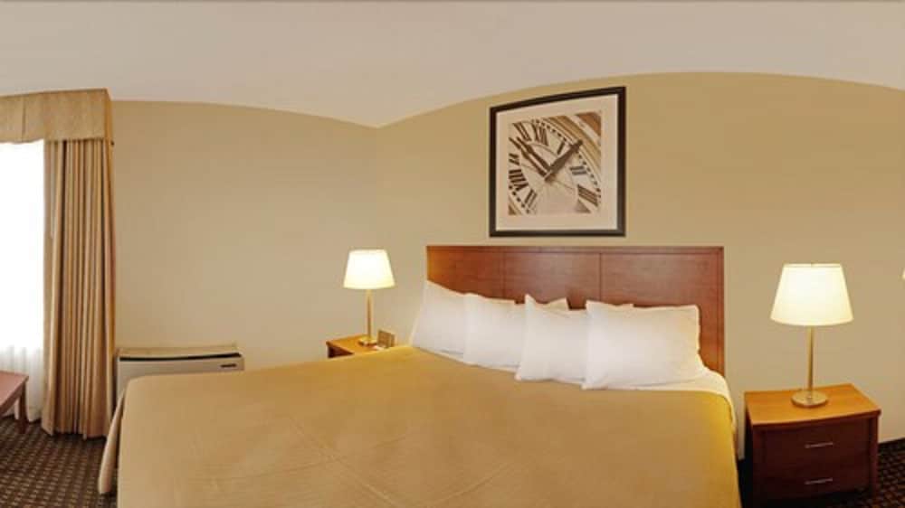 Standard Room, 1 King Bed with Sofa bed, Non Smoking - Photo 3