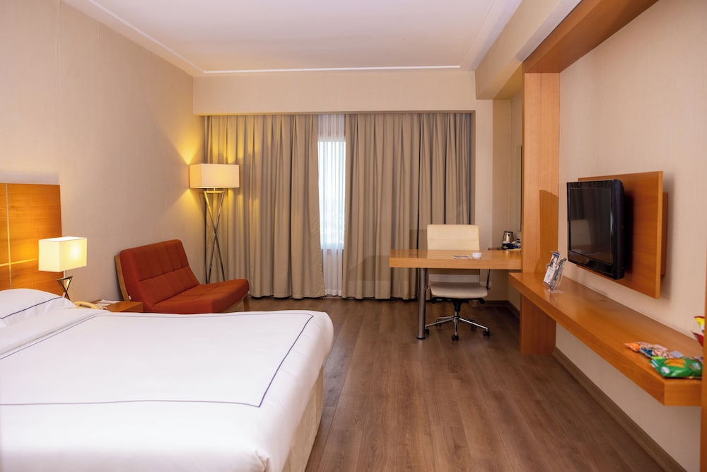 Deluxe Double Room photo 1