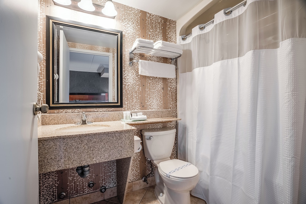 Queen Suite with Jetted Tub photo 3