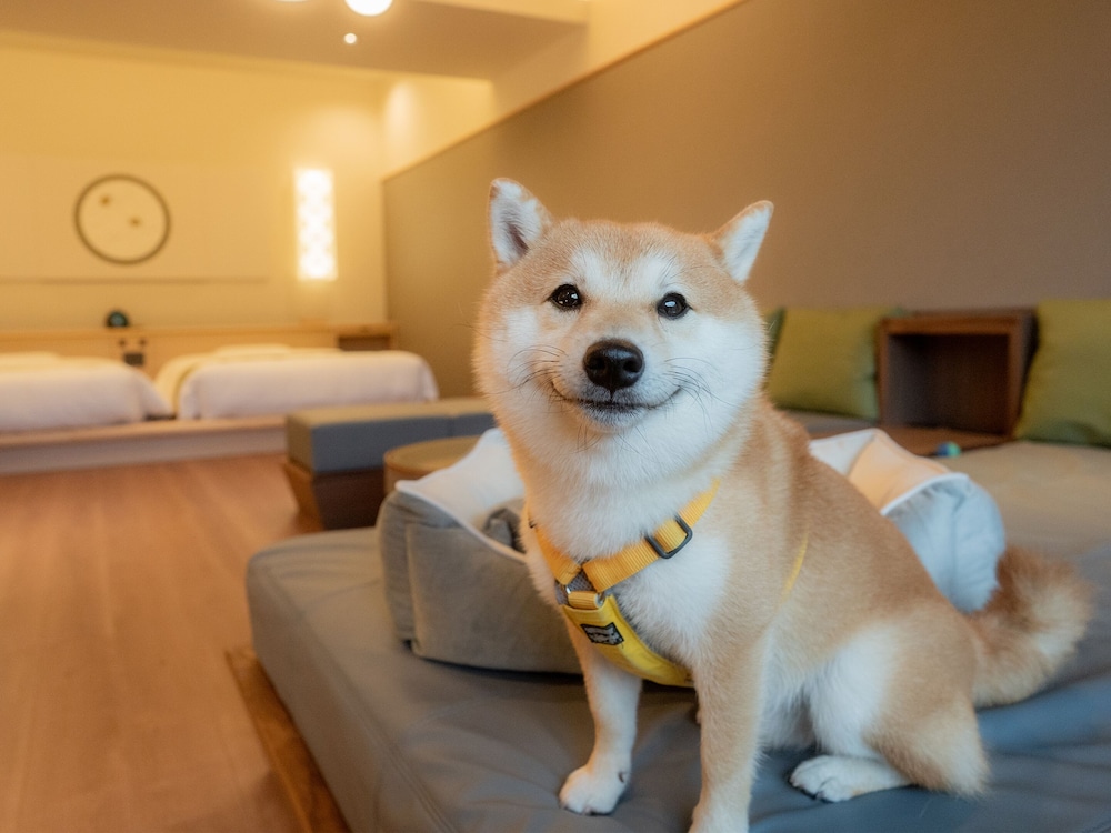 Premium Suite, Private Bathroom, Garden View (Dog Friendly) photo 1