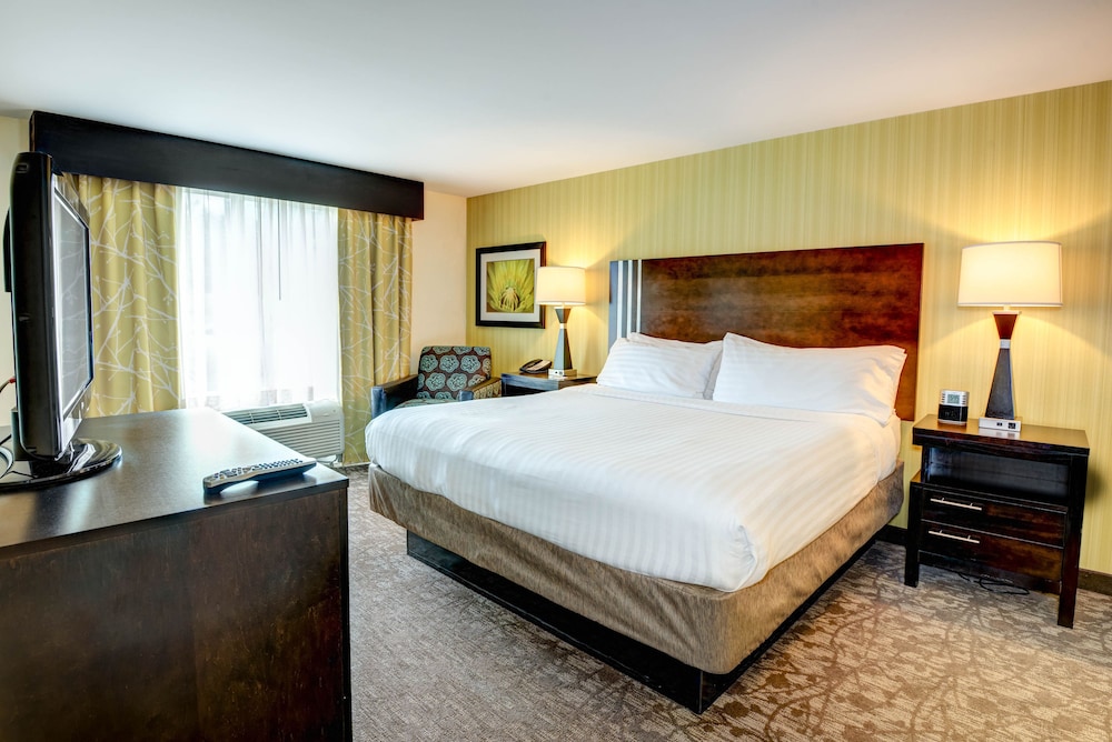 Suite, 1 King Bed with Sofa bed (Wet Bar)
