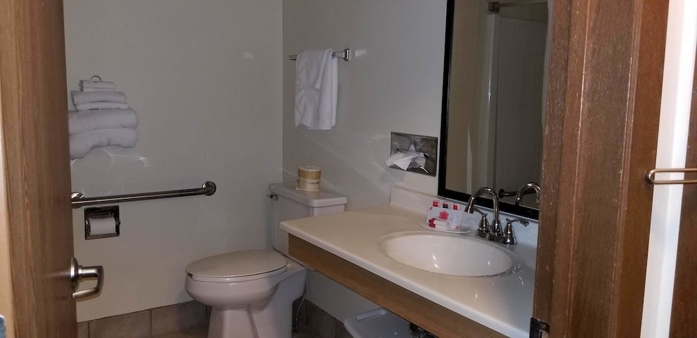 Room, 1 Queen Bed, Accessible, Non Smoking (Mobility, Bathtub w/Grab Bars) - Photo 4