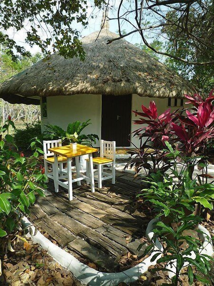 Deluxe Garden Room photo 3