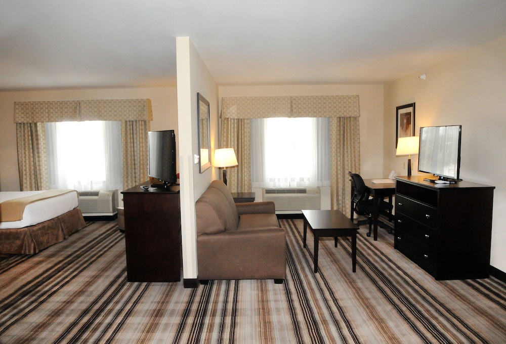 Suite, 1 King Bed (Living and Dining Area) photo 1