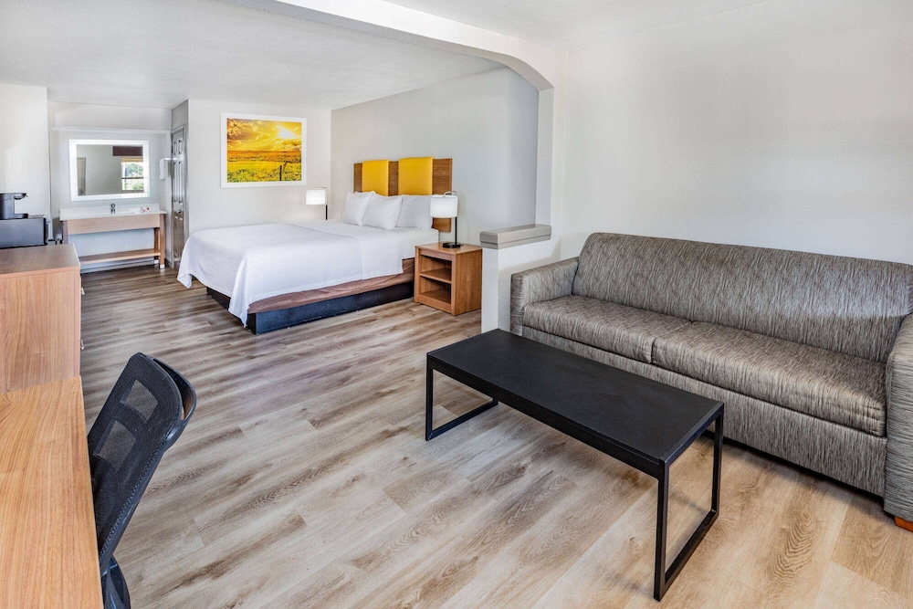 Suite, 1 King Bed photo 1