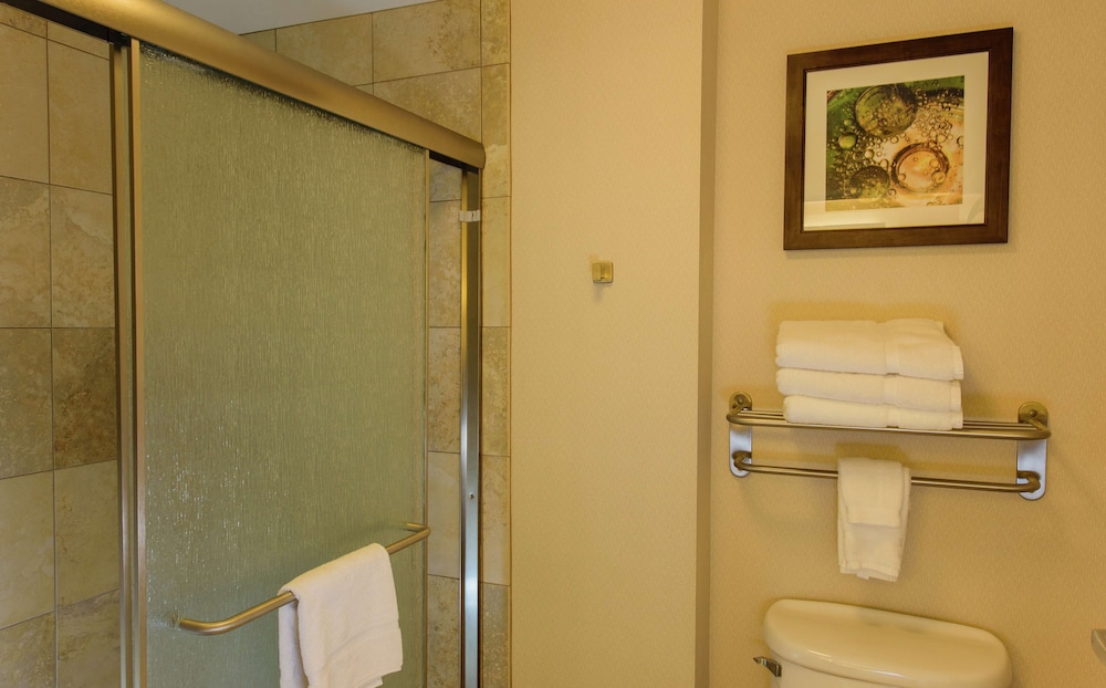 Suite, Accessible, Non Smoking - Photo 5