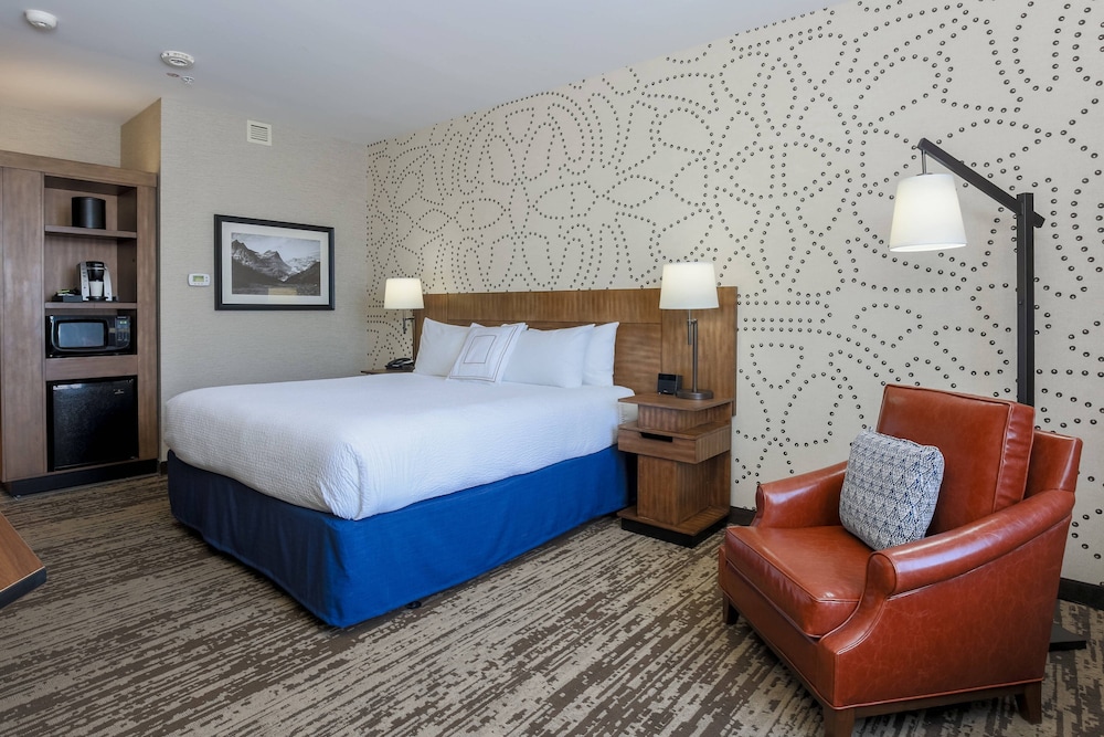 Suite, 1 King Bed with Sofa bed photo 1