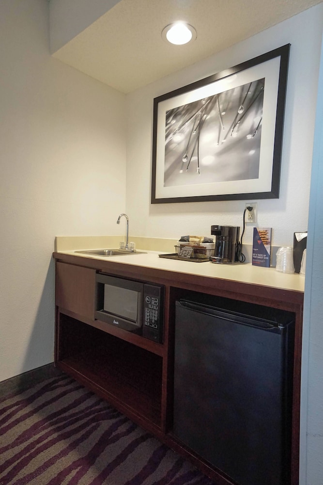 Studio Suite, 1 King Bed - Photo 4