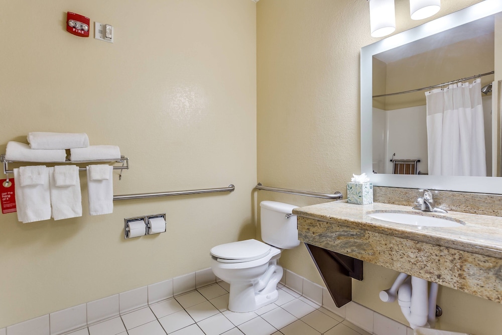 Suite, 1 Bedroom - Photo 7