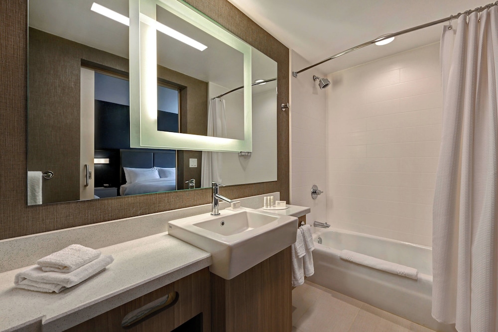 Suite, 1 King Bed - Photo 11