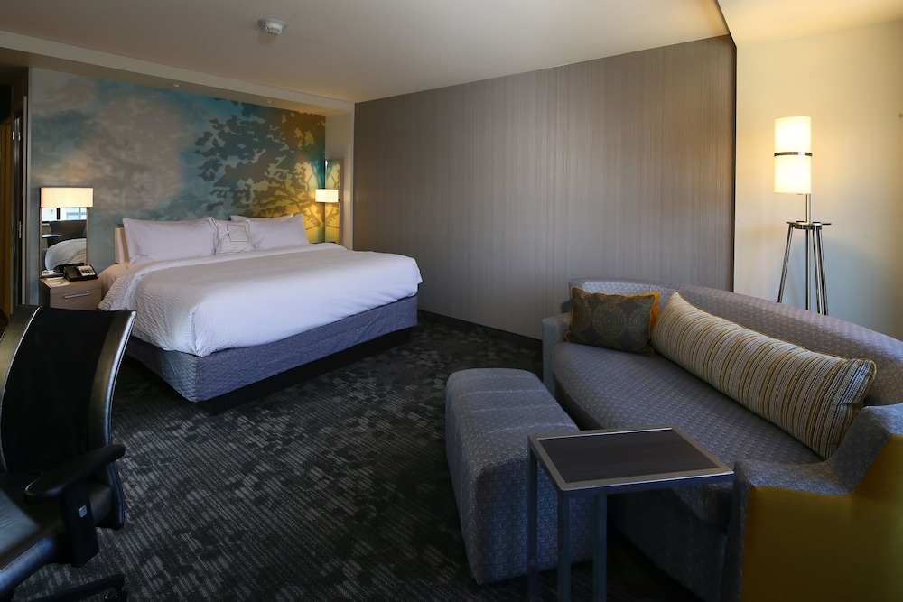 Room, 1 King Bed with Sofa bed (Mobility Accessible, Roll-in Shower) photo 3