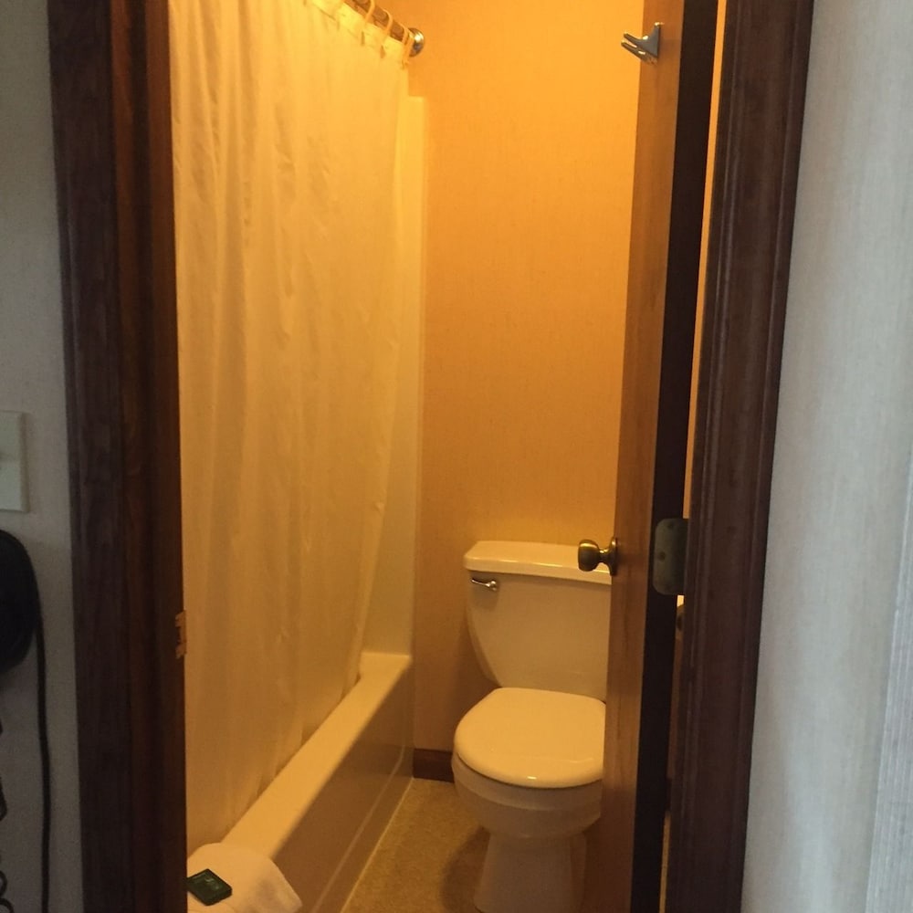 Traditional Room, 1 King Bed, Refrigerator & Microwave photo 2