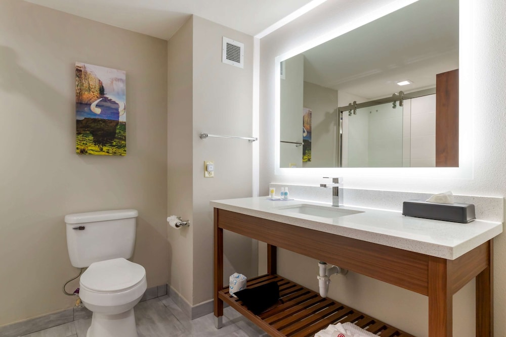 Room, 1 King Bed, Accessible, Non Smoking (Roll-in shower) - Photo 10