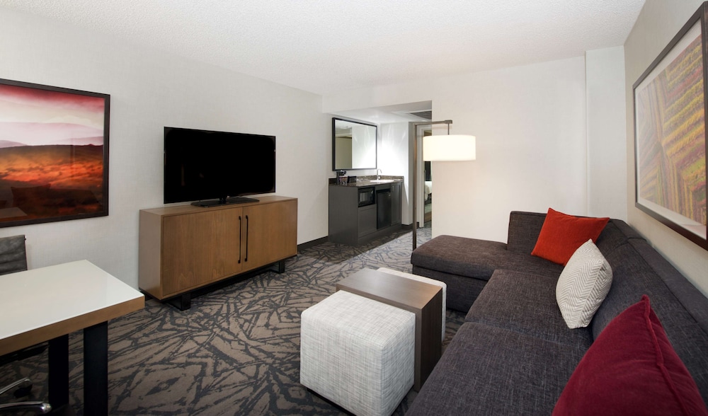 Suite, 1 King Bed, Allergy Friendly - Photo 3