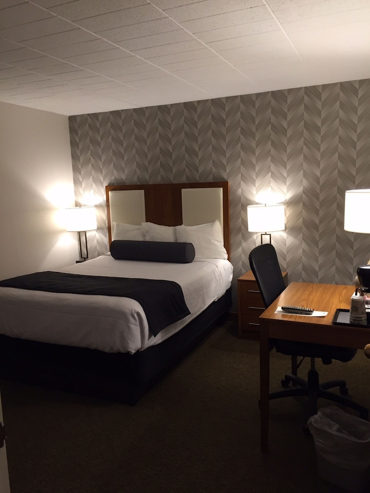 Room, 1 Bedroom