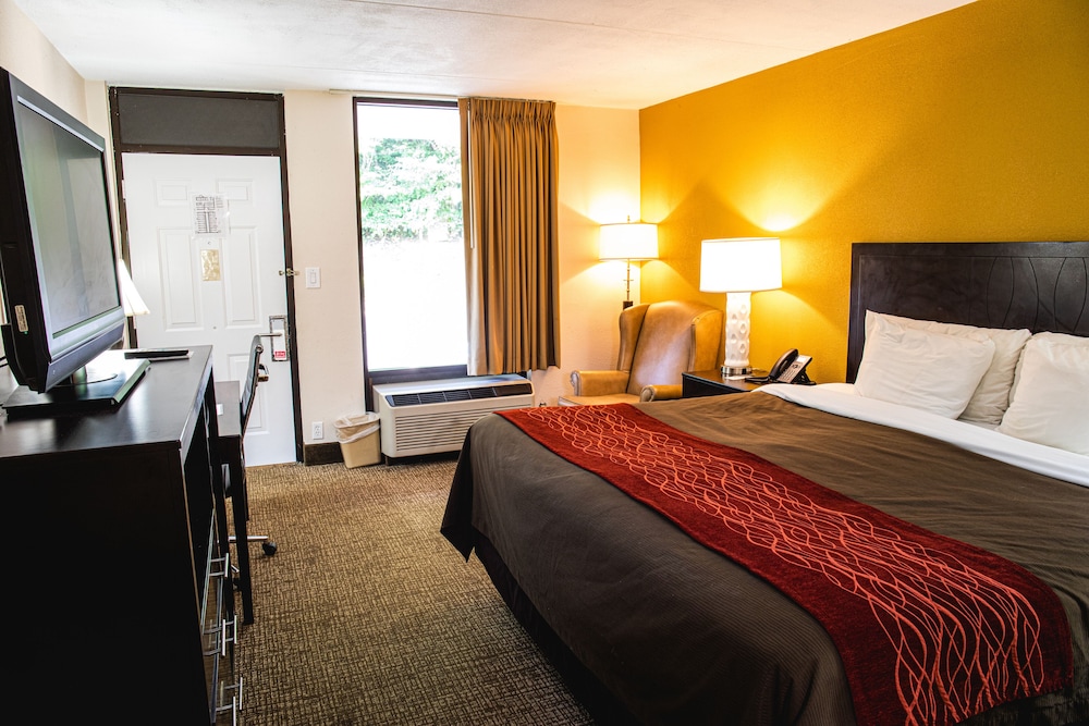Classic Room, 1 King Bed photo 2