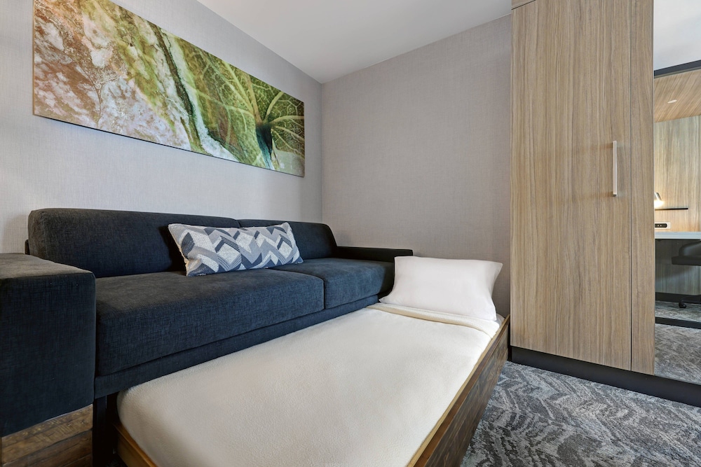 Suite, 1 King Bed with Sofa bed - Photo 6