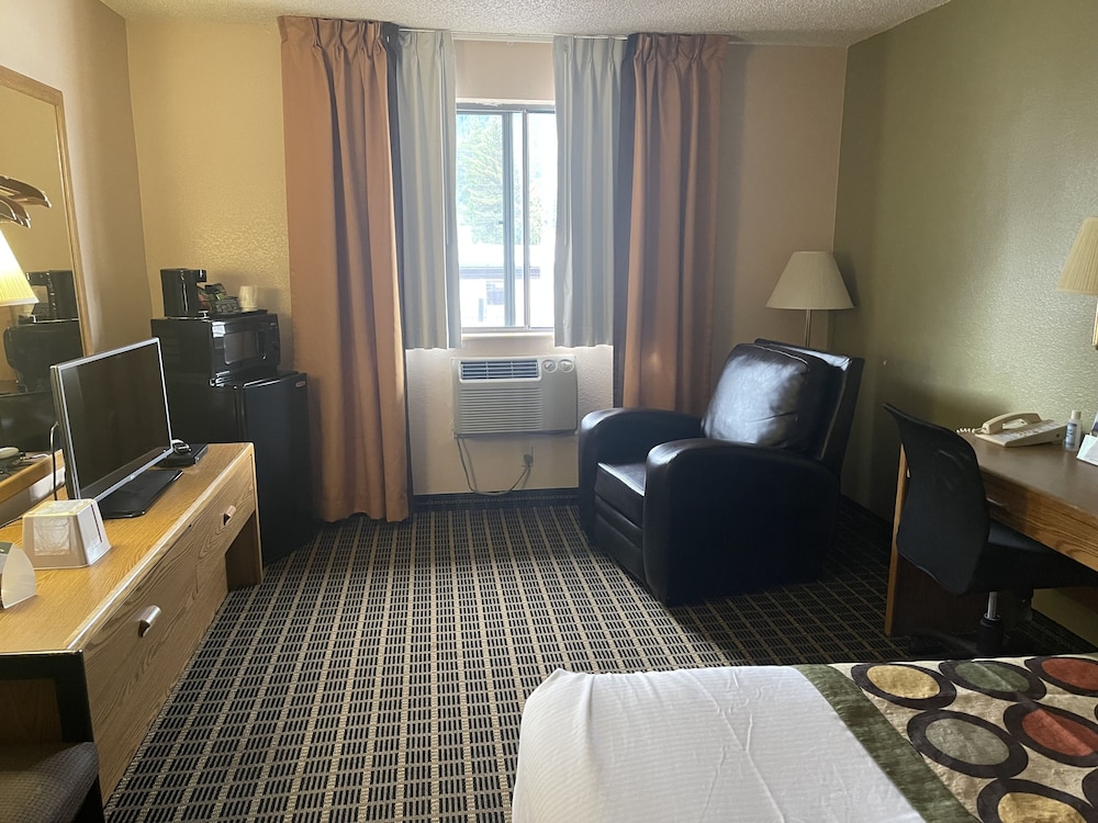 Single Room photo 1
