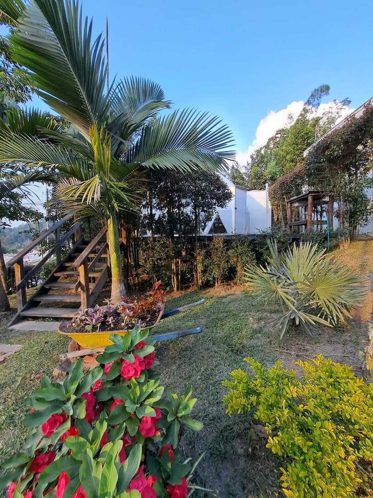 Superior Bungalow, Garden View photo 2