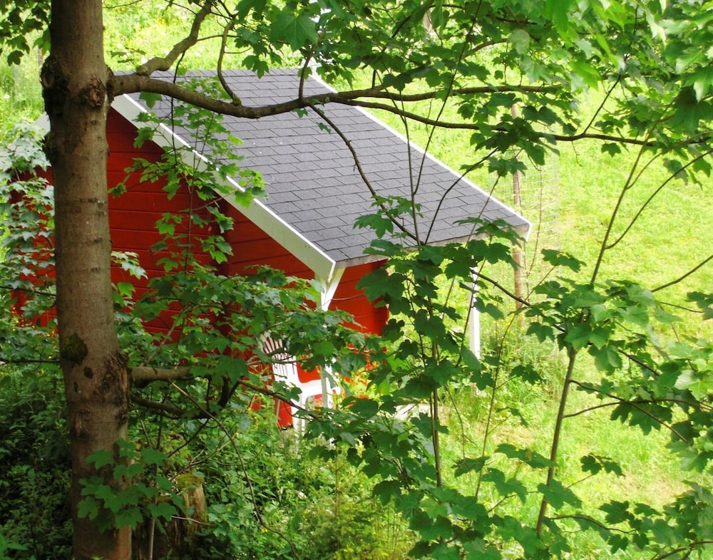 House photo 2