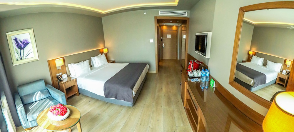Premium Room, 1 Queen Bed with Sofa bed, Balcony