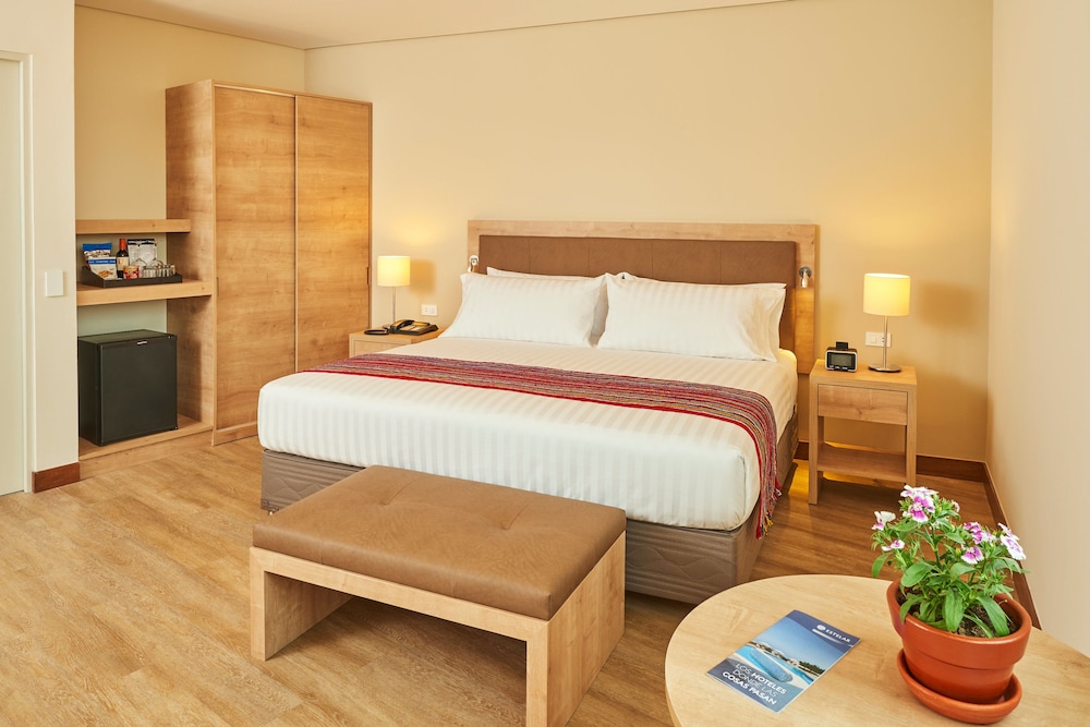 Junior Room, 1 King Bed photo 3