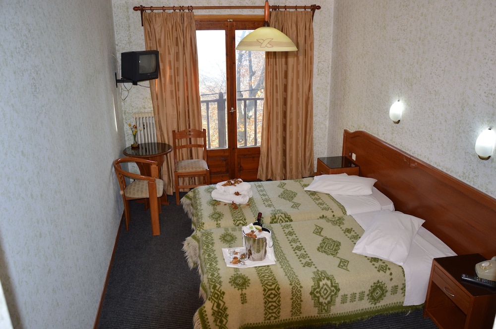 Double or Twin Room, Mountain View