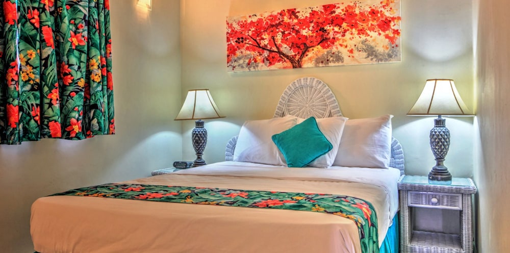 Deluxe Room, 1 Queen Bed (Junior One Bedroom)