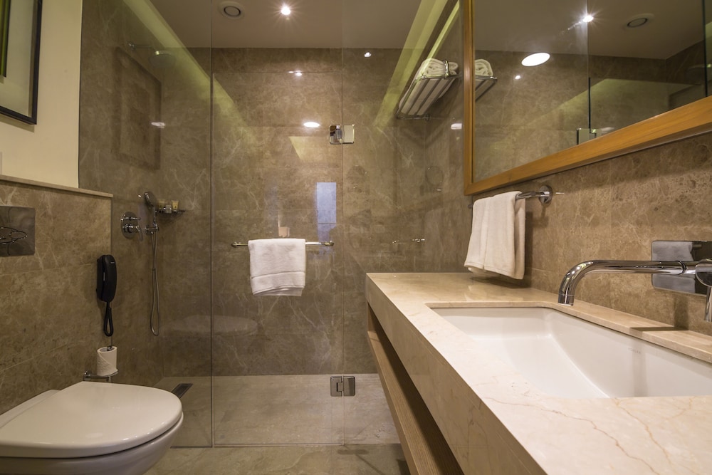 Deluxe Room photo 2