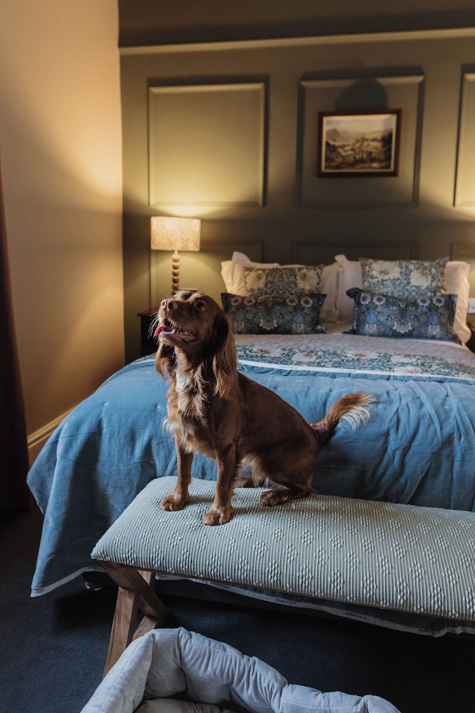 Comfort Double Room, 1 Queen Bed, Pets Allowed