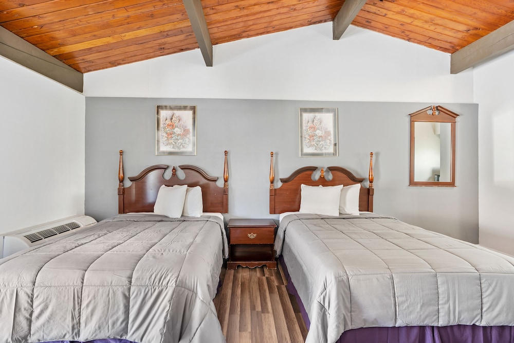 Premium Double Room photo 3