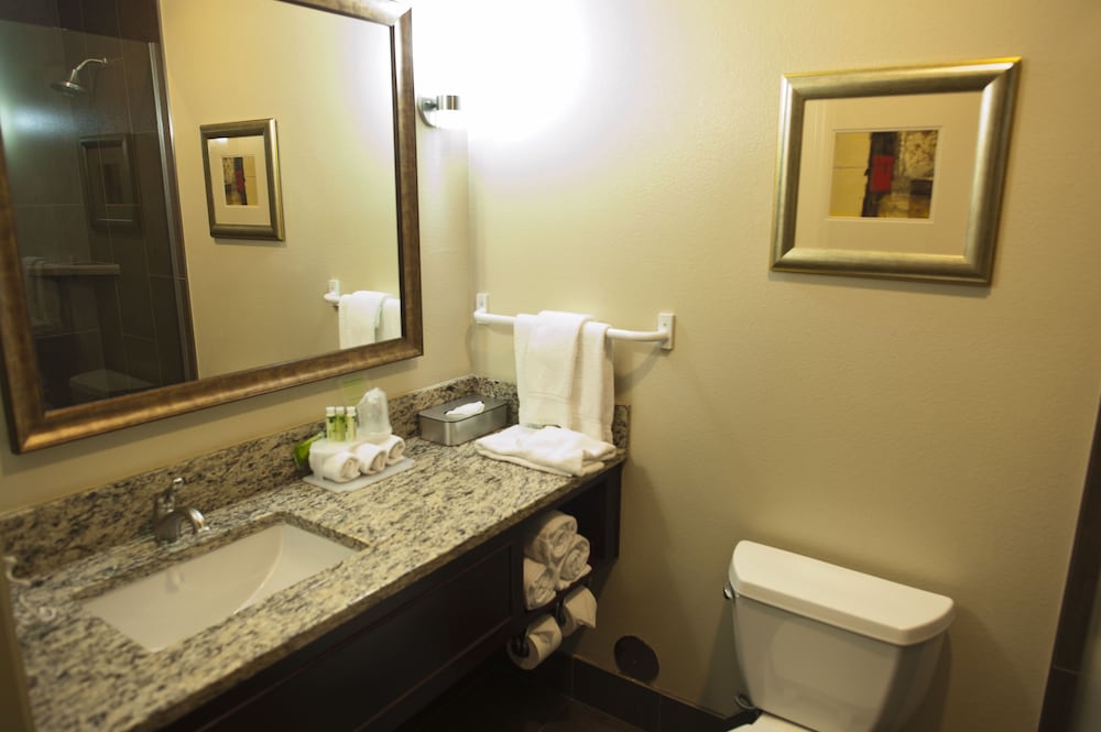 Suite, 1 King Bed - Photo 4