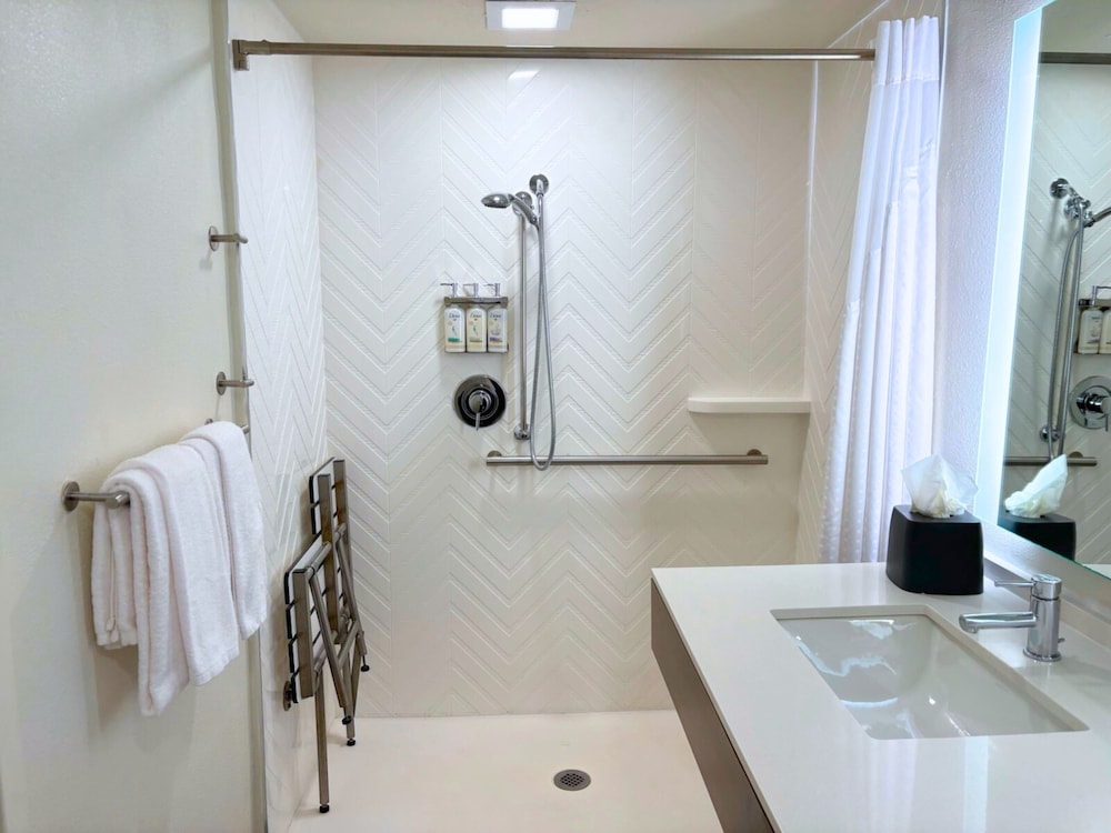 Standard Room, 1 King Bed, Accessible (Mobility, Roll-In Shower)