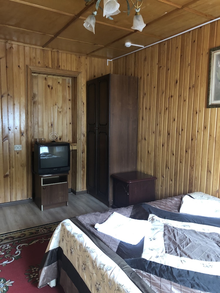 Standard Double or Twin Room photo 1