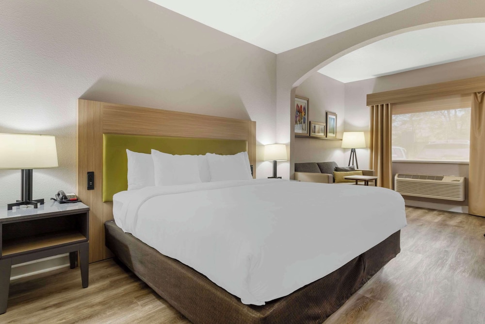 Suite, 1 King Bed, Non Smoking - Photo 8