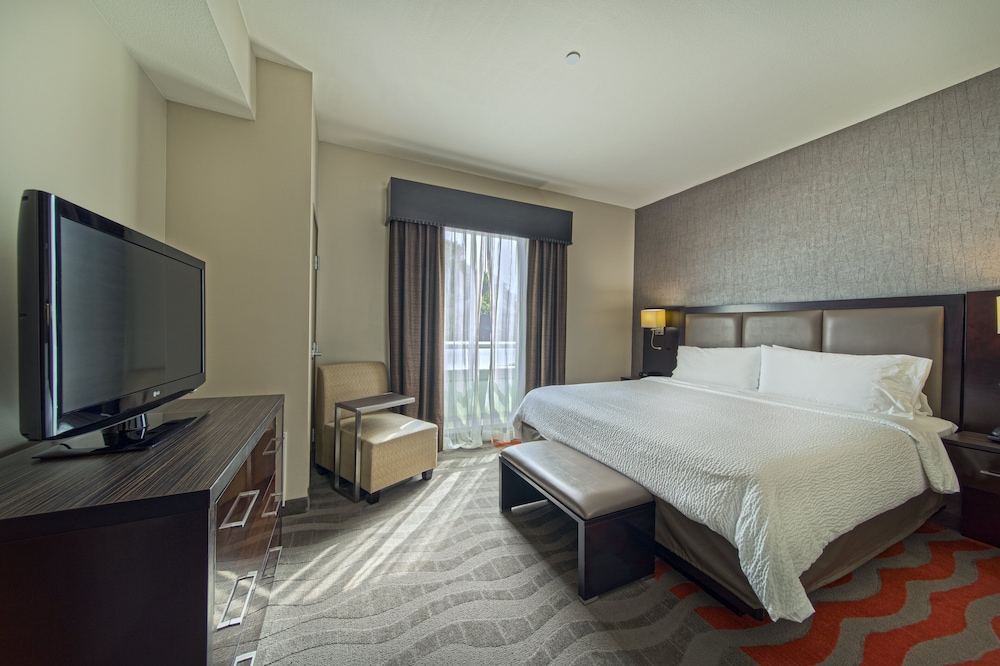 Suite, 1 Bedroom - Photo 5