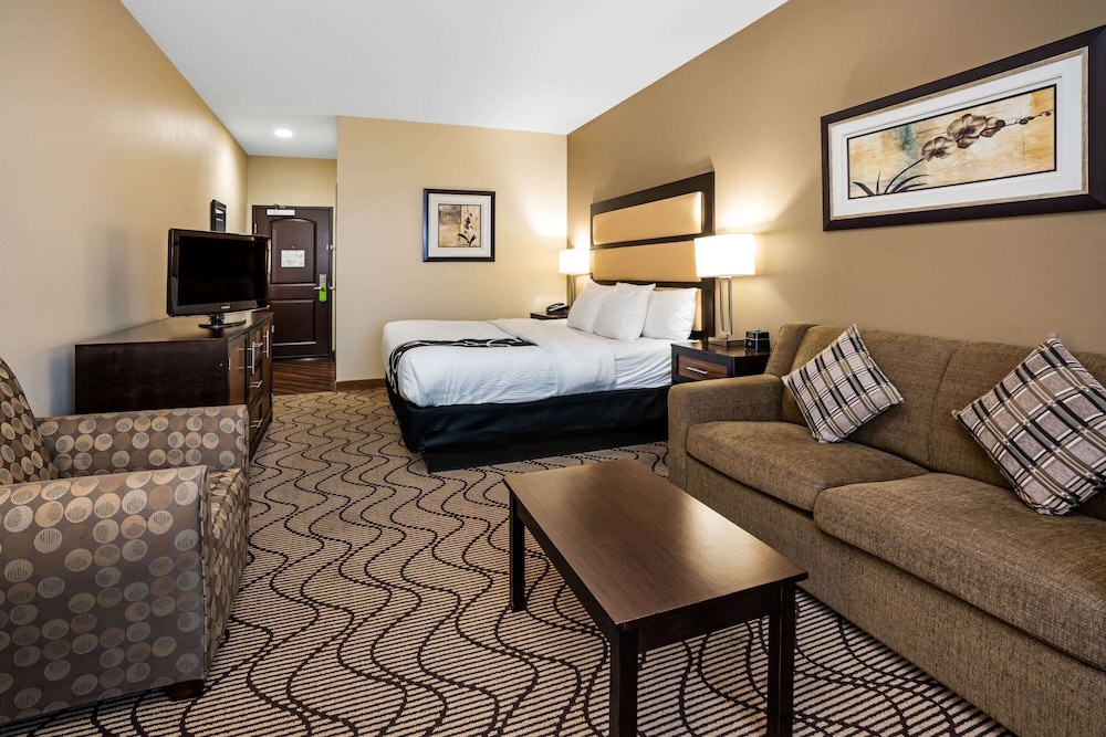 Deluxe Suite, 1 King Bed, Non Smoking - Photo 7
