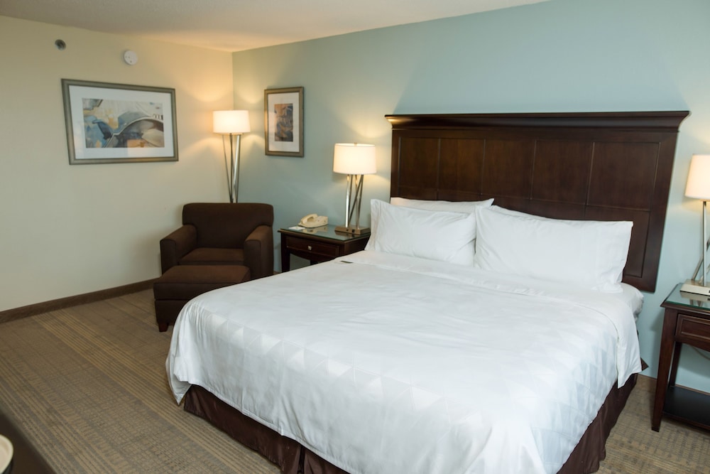 Standard Room, 1 King Bed - Photo 3