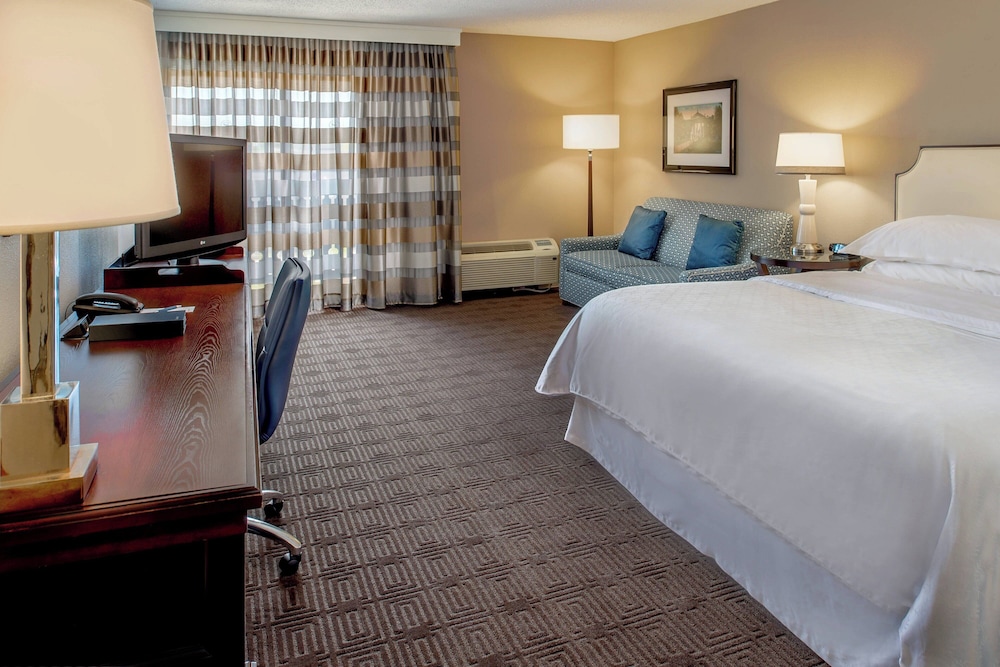 Premium Room, 1 King Bed with Sofa bed - Photo 5