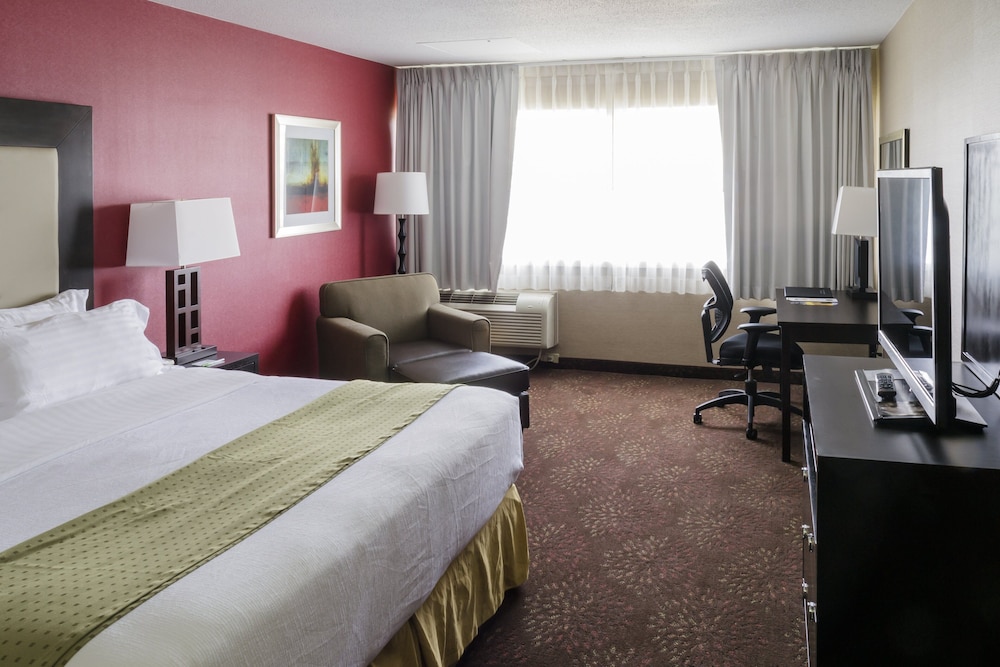 Suite, 1 King Bed (Additional Living Area) photo 2
